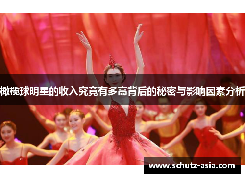 橄榄球明星的收入究竟有多高背后的秘密与影响因素分析